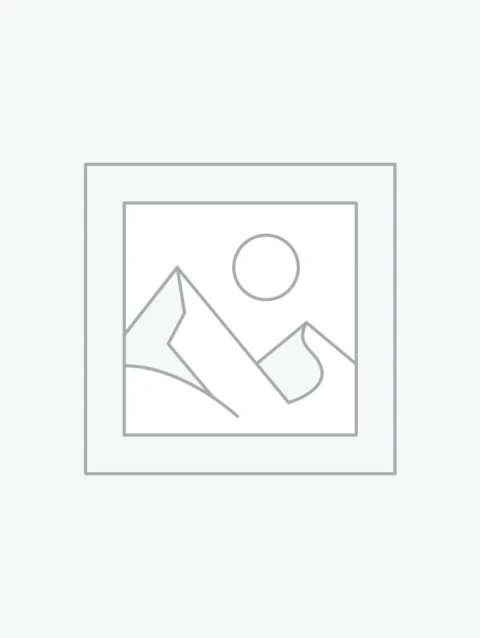 Avec Les Filles Wide-Leg Shorts